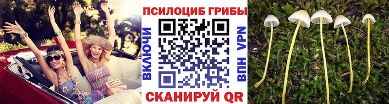 Галлюциногенные грибы мухоморы  Северодвинск 